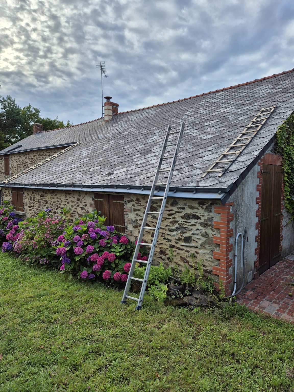 Toiture avant intervention